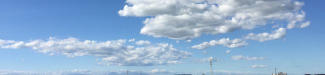 ammynrk's header image