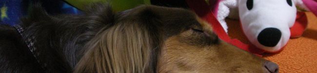 minory's header image