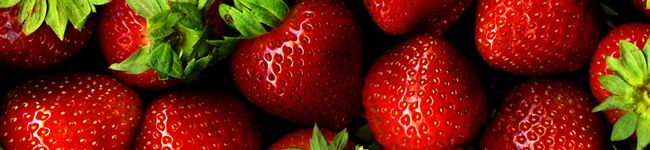 林田幸代's header image