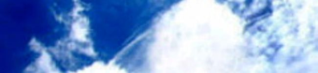 ルル・ベイカー's header image