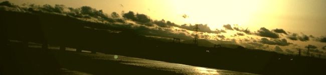 magokoro食堂's header image