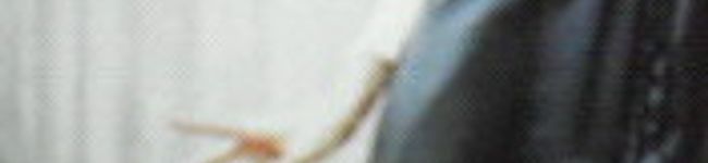 RAD's header image