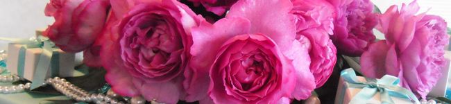 perhonen4's header image