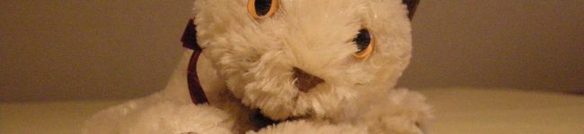 三毛猫福's header image