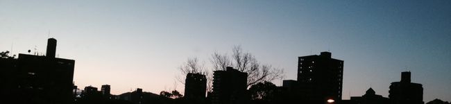✳︎ななち✳︎'s header image
