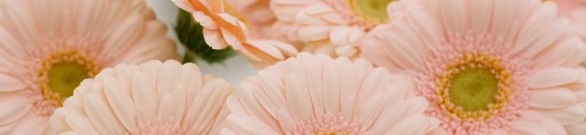 tomurin's header image