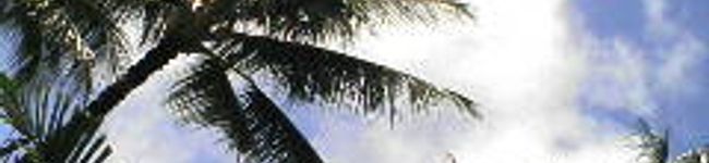 野りんご♪♪♪'s header image