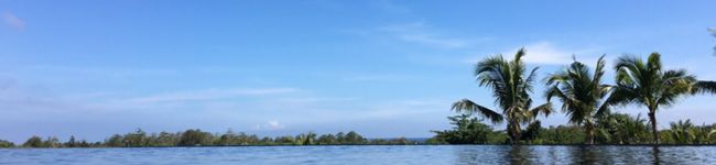 chancoro83's header image