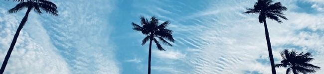 arisama's header image