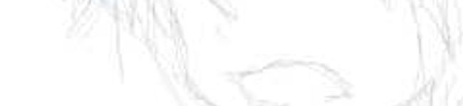 椎衣。's header image