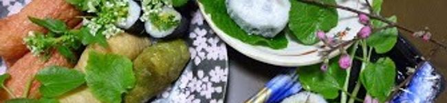 lily0814's header image
