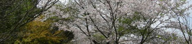 shiotaka's header image