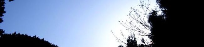xxmococoxx's header image
