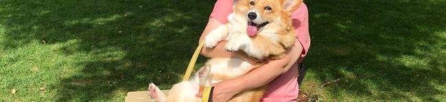 msazy's header image