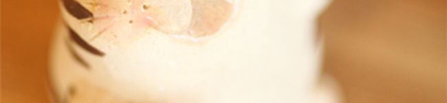 ヤマ☆ケ's header image