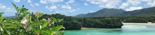 くるゆ8's header image