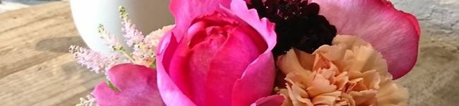 ciao_kh's header image