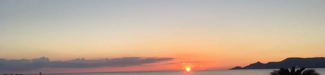 pokopanda's header image