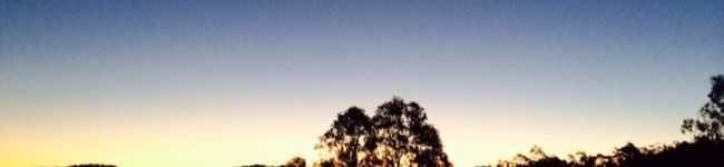 箕貢菟's header image
