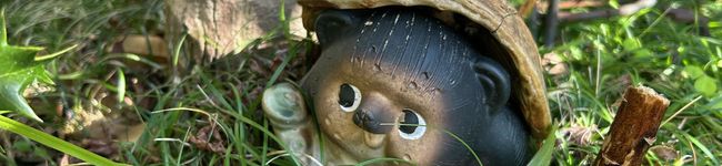 sacchiino's header image