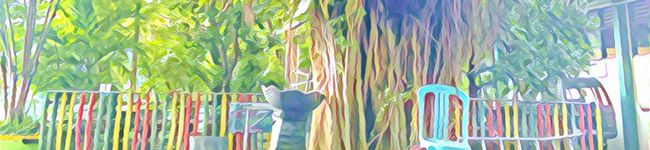 柚月七's header image