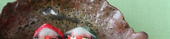 kiki555's header image