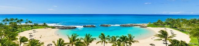 loveloco's header image