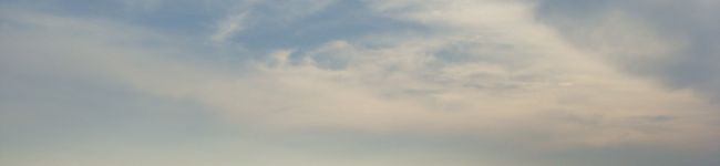 ちゃぴpi's header image