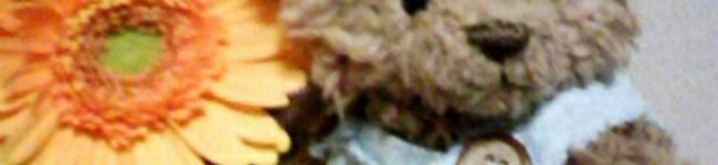 choco_3's header image