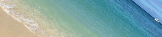 ranchu's header image