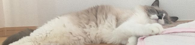 どっころ's header image
