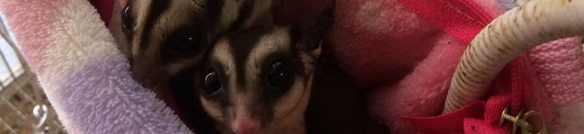 maria9071's header image