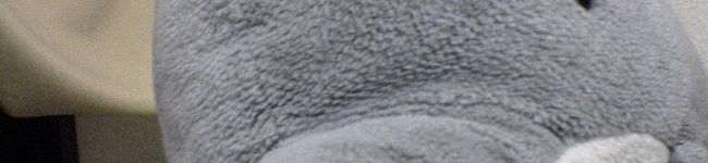 ff☆dolphin's header image