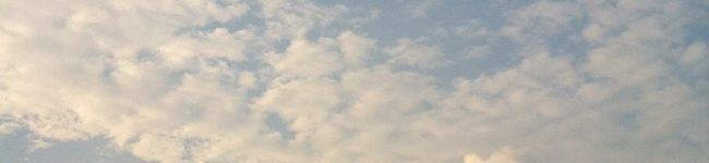 プレート's header image