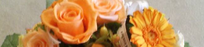 ryuunohaha's header image
