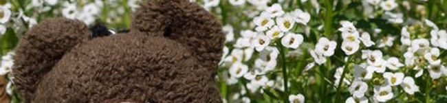 hachikoman's header image