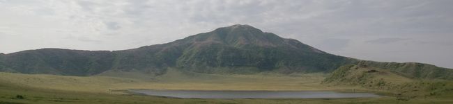 オンくま's header image
