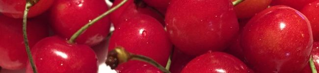 kumicook's header image