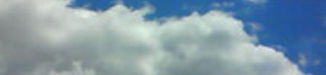 ＊Kohana＊'s header image