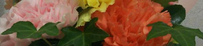 光子ママ's header image