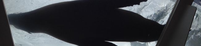 メイチュン's header image
