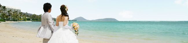 nsgp's header image