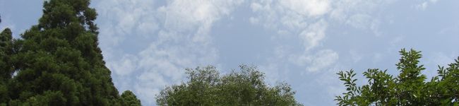 結衣のお母ちゃん's header image