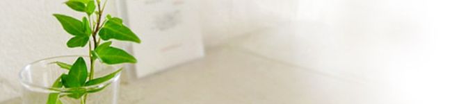 四つ葉のClover's header image