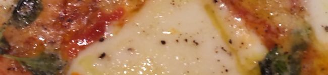 petitsucre's header image