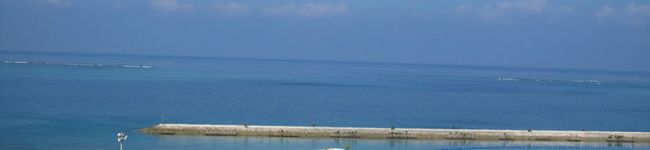 takaandquu's header image