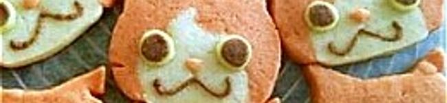 よこ子's header image