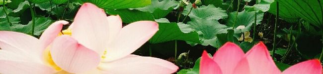 ａｋｉ☆ａｋｉ's header image