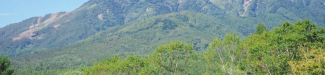 bailadora's header image