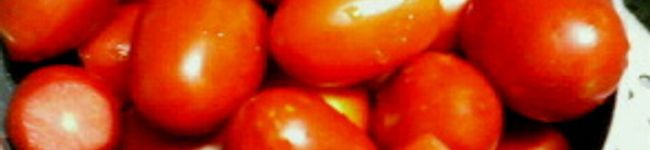 yuppekun's header image